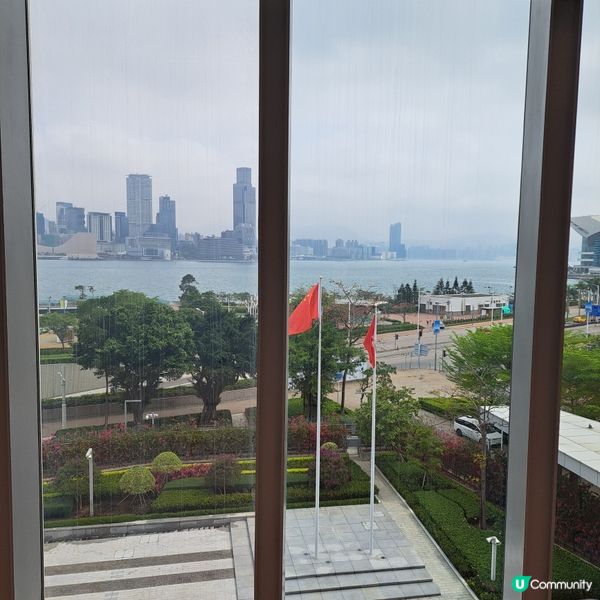 解構立法會！👀 乜嘢咁特別？🤩