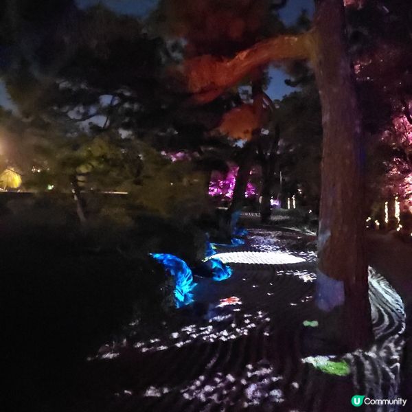 福岡光影「繪」庭園 🌌