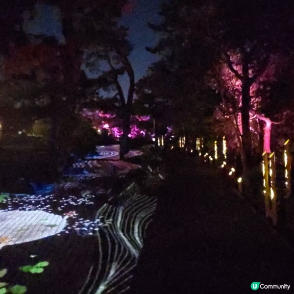 福岡光影「繪」庭園 🌌