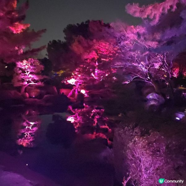 福岡光影「繪」庭園 🌌