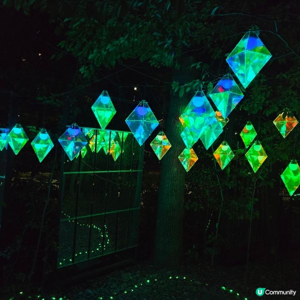 福岡光影「繪」庭園 🌌