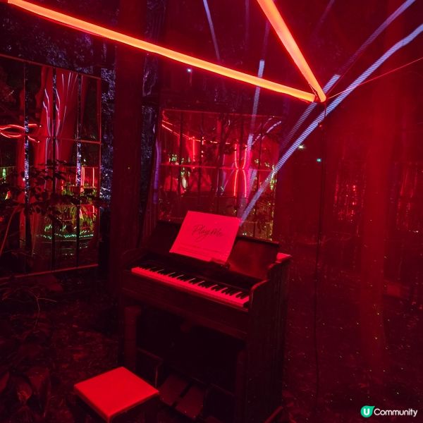 福岡光影「繪」庭園 🌌