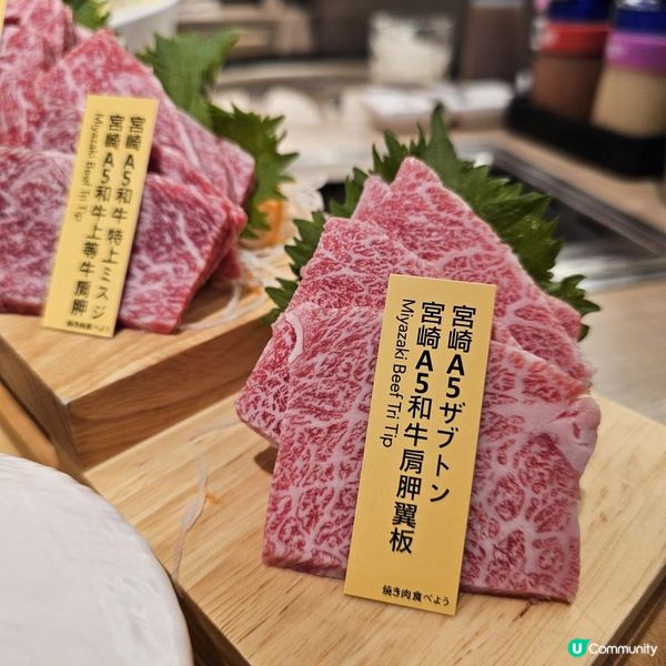 沙田最強燒肉