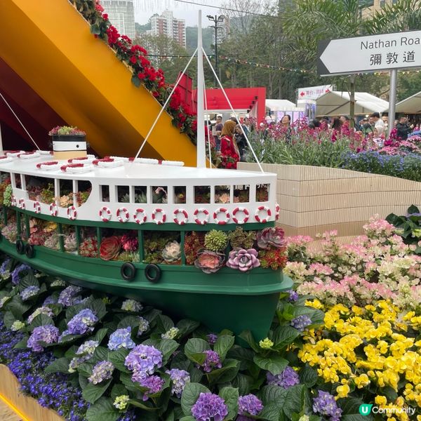 花花世界之香港花卉展覽