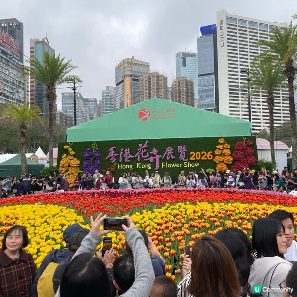 花花世界之香港花卉展覽