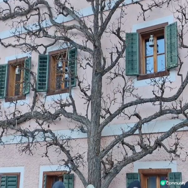 歐洲聖誕🇨🇦哈爾施塔特雪景太美！😍