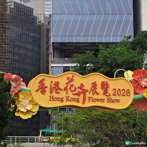 花展尾聲💐！紫羅蘭花海等你影！📸