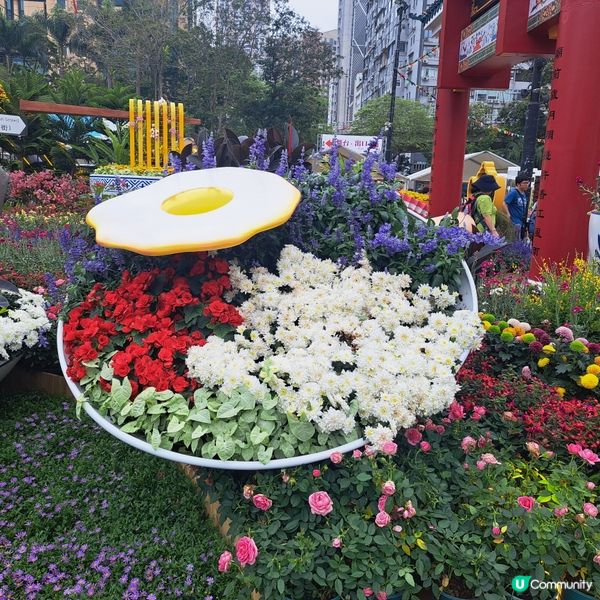 花展尾聲💐！紫羅蘭花海等你影！📸