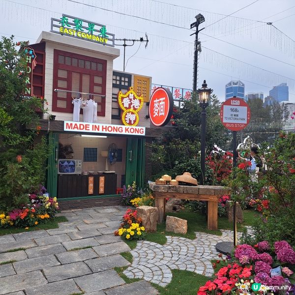 花展尾聲💐！紫羅蘭花海等你影！📸