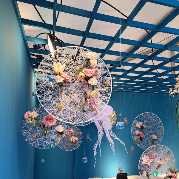 花展尾聲💐！紫羅蘭花海等你影！📸