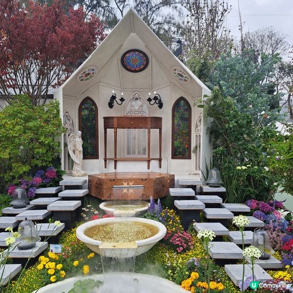 花展尾聲💐！紫羅蘭花海等你影！📸