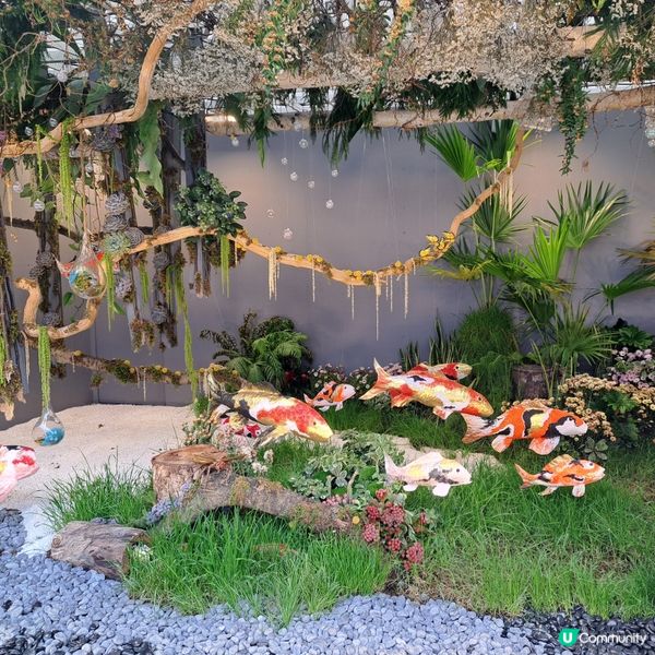 花展尾聲💐！紫羅蘭花海等你影！📸