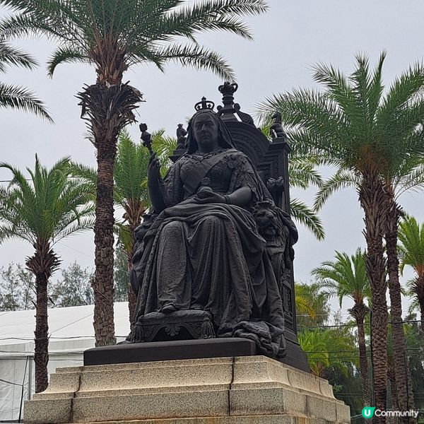 花展尾聲💐！紫羅蘭花海等你影！📸