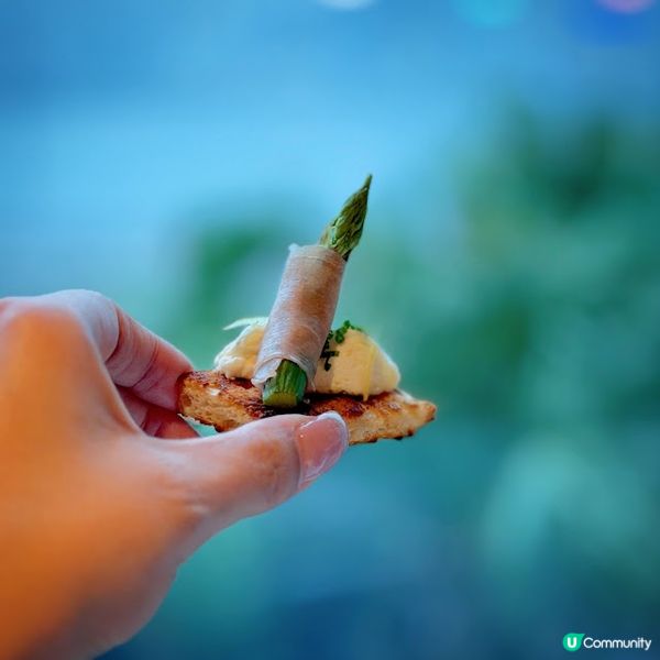 午後「檳」放@The Mistral