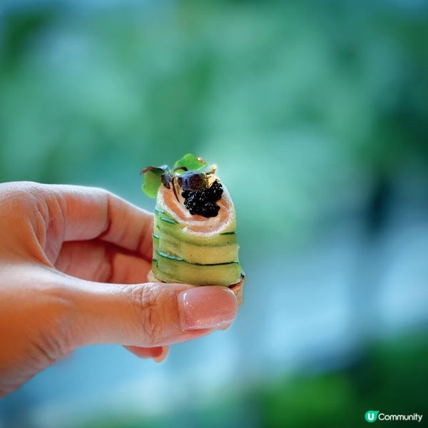 午後「檳」放@The Mistral