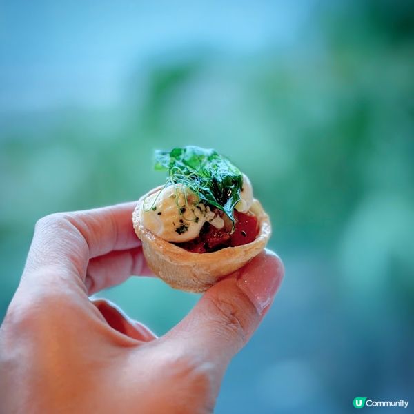 午後「檳」放@The Mistral