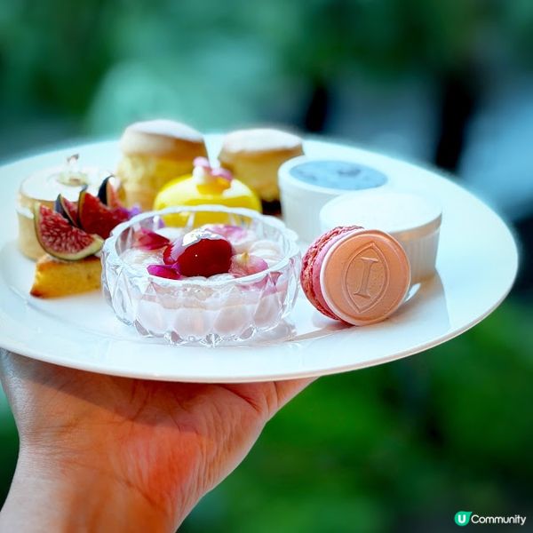 午後「檳」放@The Mistral