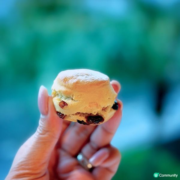 午後「檳」放@The Mistral