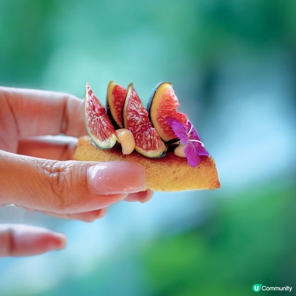 午後「檳」放@The Mistral