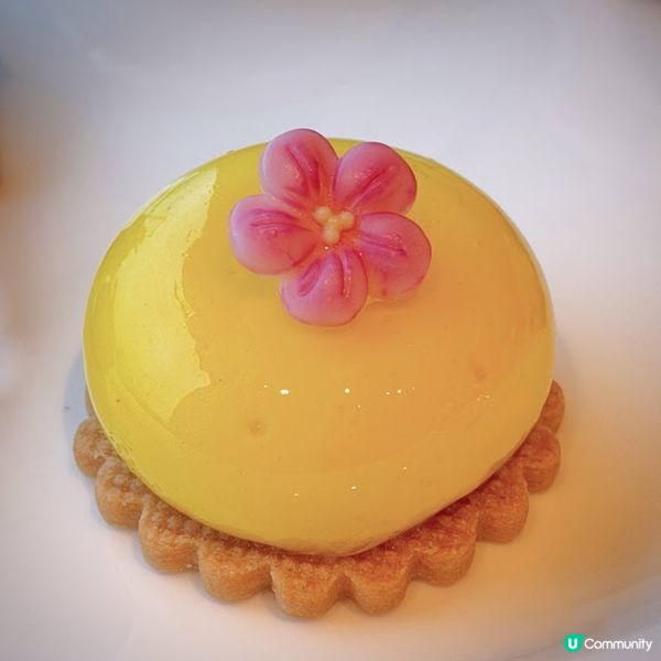 午後「檳」放@The Mistral