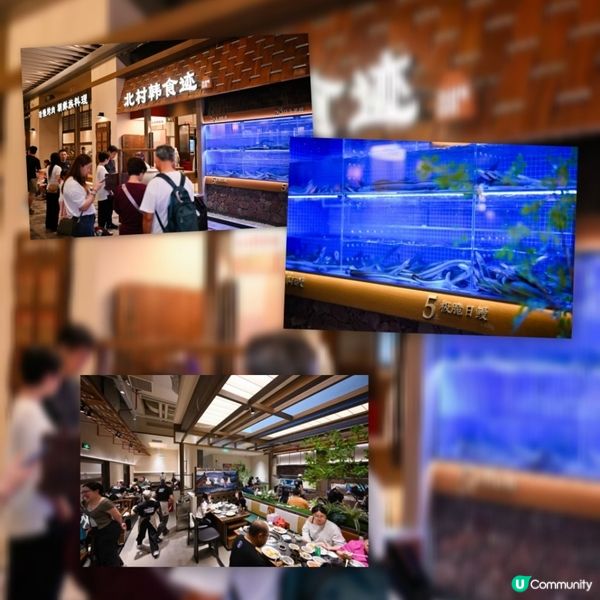 🚨福田中心城🎢  港爸媽復活節好去處🐣