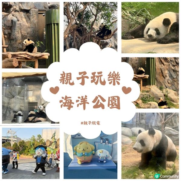 親子活動：海洋公園睇熊貓 家姐細佬😍🐼