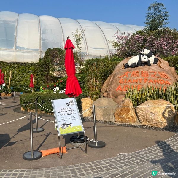 親子活動：海洋公園睇熊貓 家姐細佬😍🐼