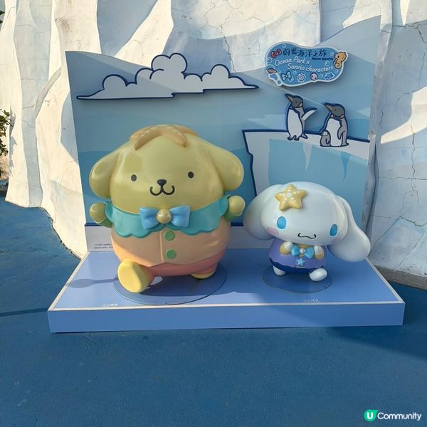 親子活動：海洋公園睇熊貓 家姐細佬😍🐼