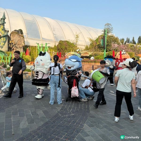 親子活動：海洋公園睇熊貓 家姐細佬😍🐼