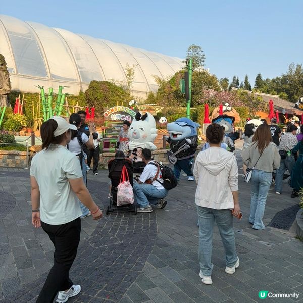 親子活動：海洋公園睇熊貓 家姐細佬😍🐼