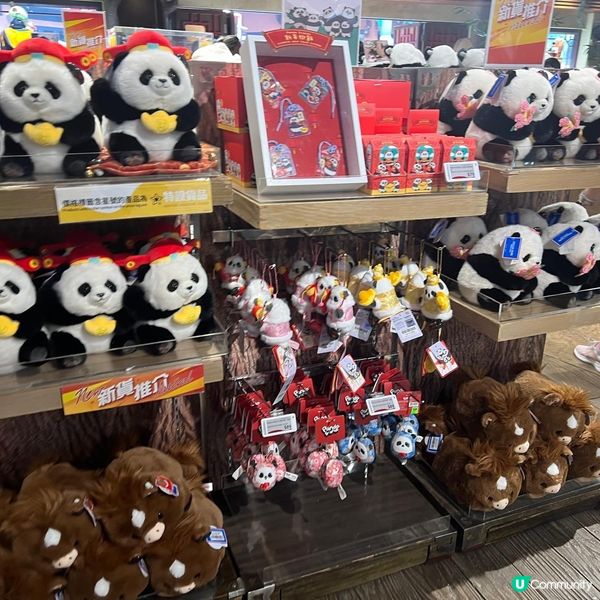 親子活動：海洋公園睇熊貓 家姐細佬😍🐼