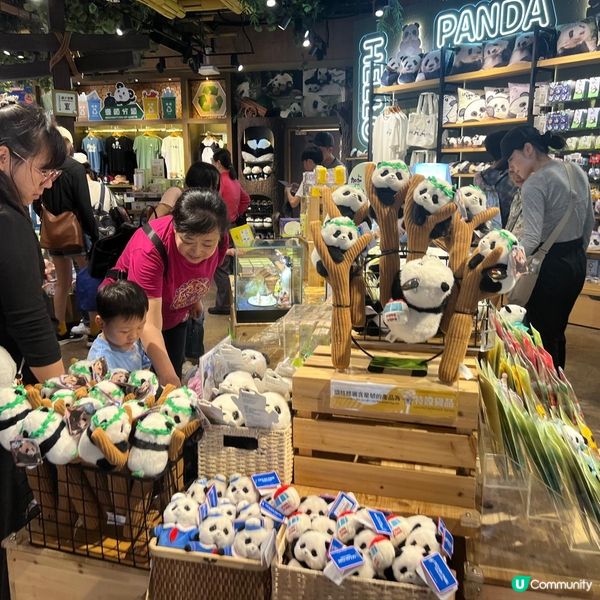 親子活動：海洋公園睇熊貓 家姐細佬😍🐼