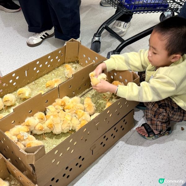 吃喝玩樂購 新萬悅超市 盛大開業🎉🎉