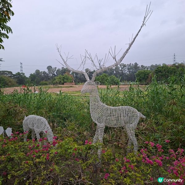 ✨深圳龍華區打卡好去處🥳遊覧觀瀾版畫村😊參觀藝術博物館