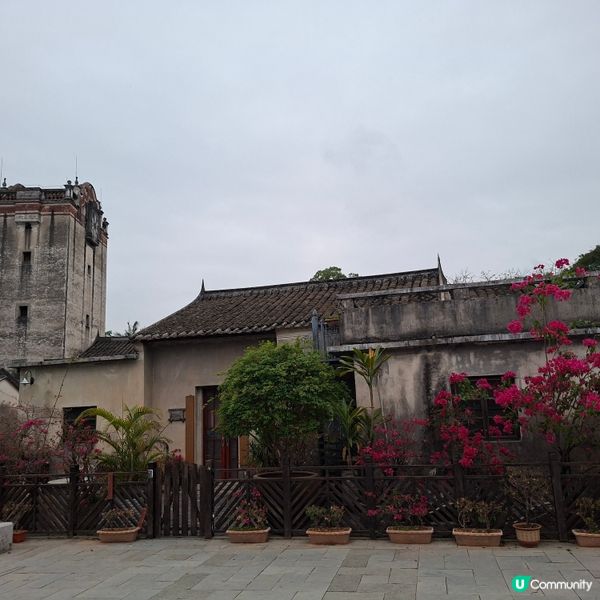 ✨深圳龍華區打卡好去處🥳遊覧觀瀾版畫村😊參觀藝術博物館