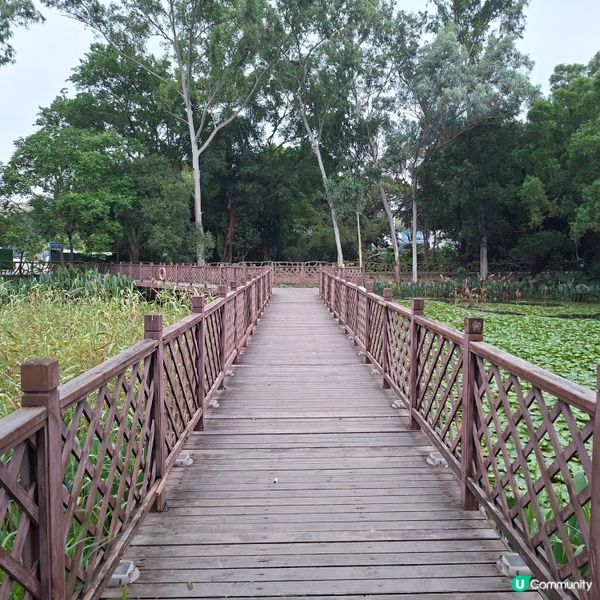 ✨深圳龍華區打卡好去處🥳遊覧觀瀾版畫村😊參觀藝術博物館