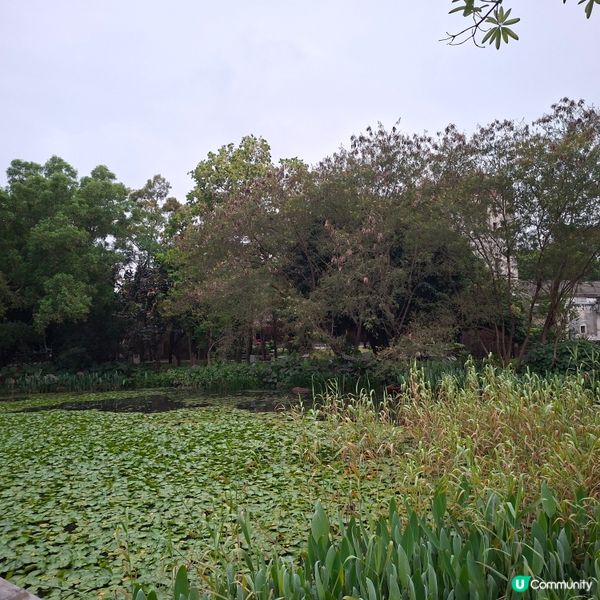 ✨深圳龍華區打卡好去處🥳遊覧觀瀾版畫村😊參觀藝術博物館