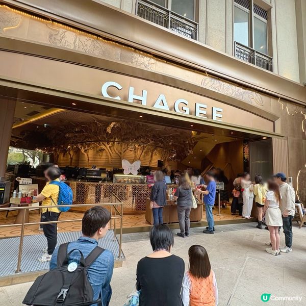 「晚系列」新品🌙