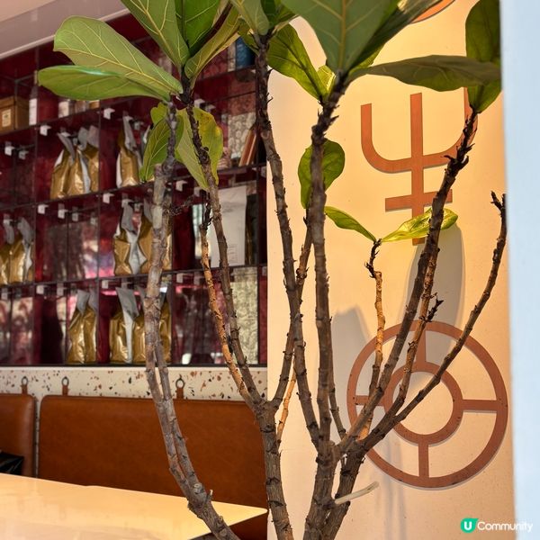 全球百大咖啡店 Espresso Alchemy☕️