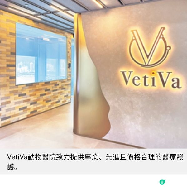 尖沙咀近8千呎寵物醫院 加入藝術元素促進人寵共融