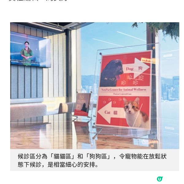 尖沙咀近8千呎寵物醫院 加入藝術元素促進人寵共融