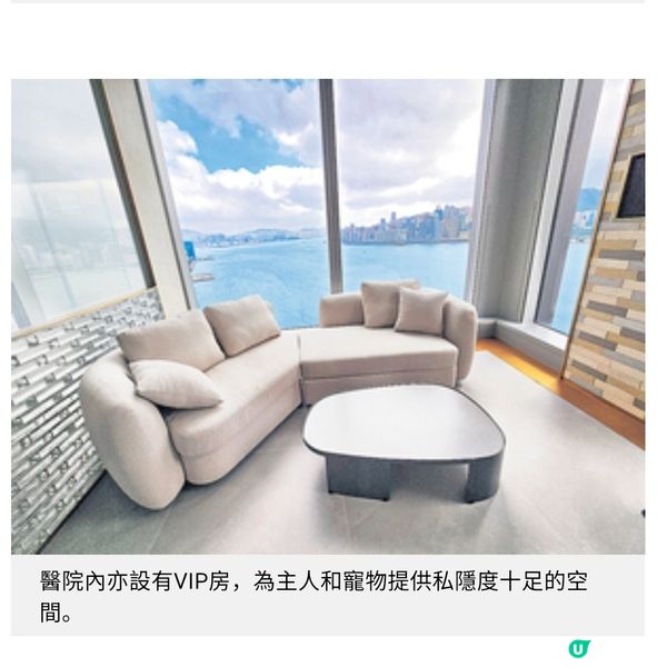 尖沙咀近8千呎寵物醫院 加入藝術元素促進人寵共融