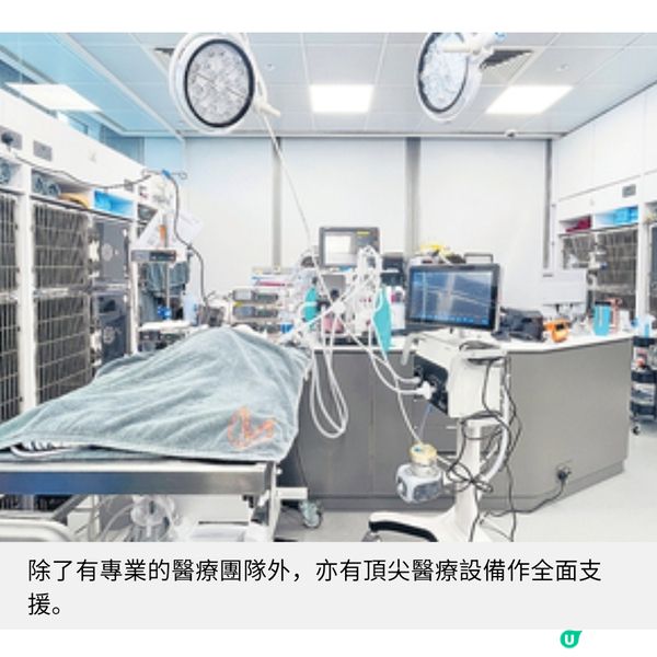 尖沙咀近8千呎寵物醫院 加入藝術元素促進人寵共融