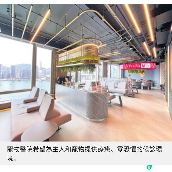 尖沙咀近8千呎寵物醫院 加入藝術元素促進人寵共融