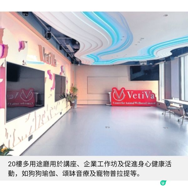 尖沙咀近8千呎寵物醫院 加入藝術元素促進人寵共融