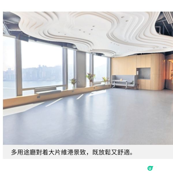 尖沙咀近8千呎寵物醫院 加入藝術元素促進人寵共融