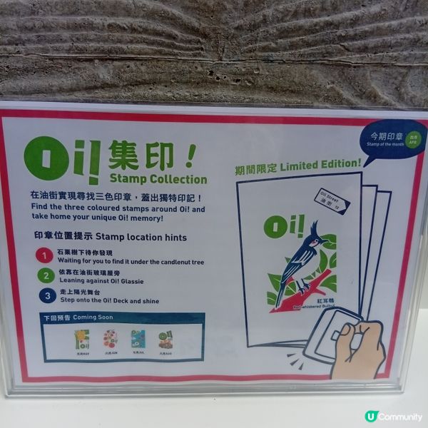 藝術三月：賞藝術💡必去油街實現- 油街焦點！