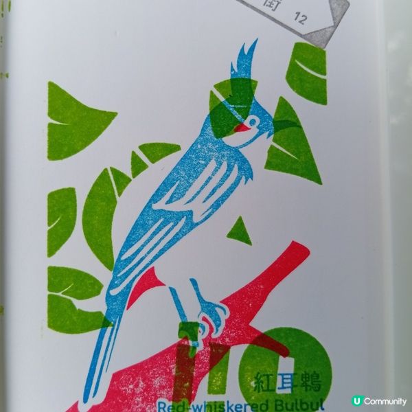 藝術三月：賞藝術💡必去油街實現- 油街焦點！