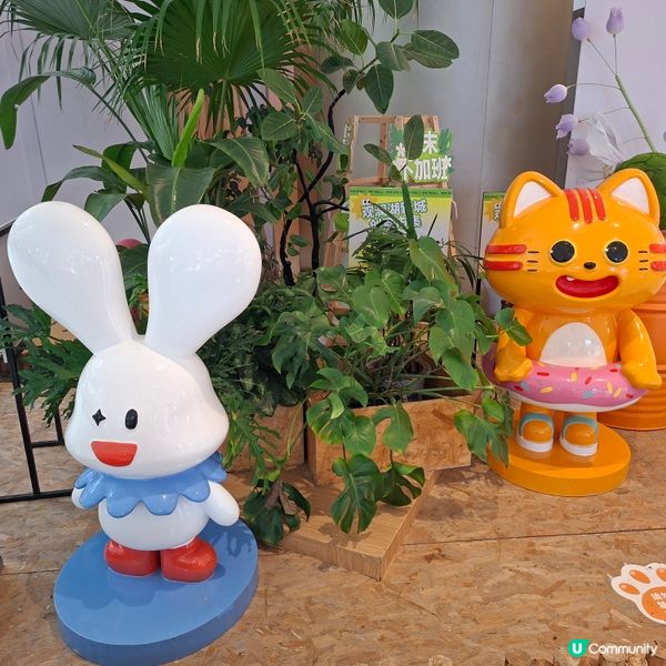 ✨深圳吃喝玩樂好去處🥰觀瀾湖新城MH MALL大型商場介紹