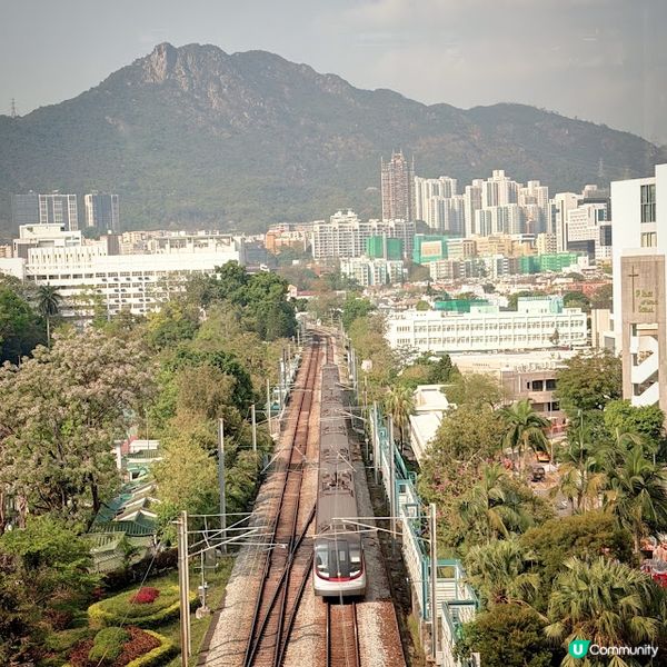 古韻今賞下午茶@Lion Rock